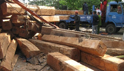 Số[-]trên[-]thùng[-]xe[-]container[-]đổ[-]xuống[-]đường.